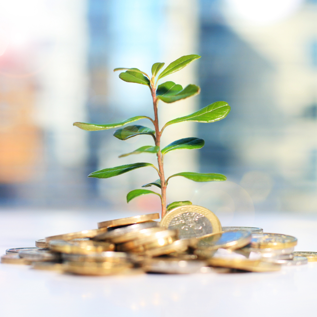 Direct Shares & Portfolio Management | Investment & Portfolio Advice