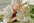 Estate Planning Advice | Wills, Legacy & Wealth Protection | Phillips Wealth Partners