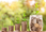 Ethical Investing