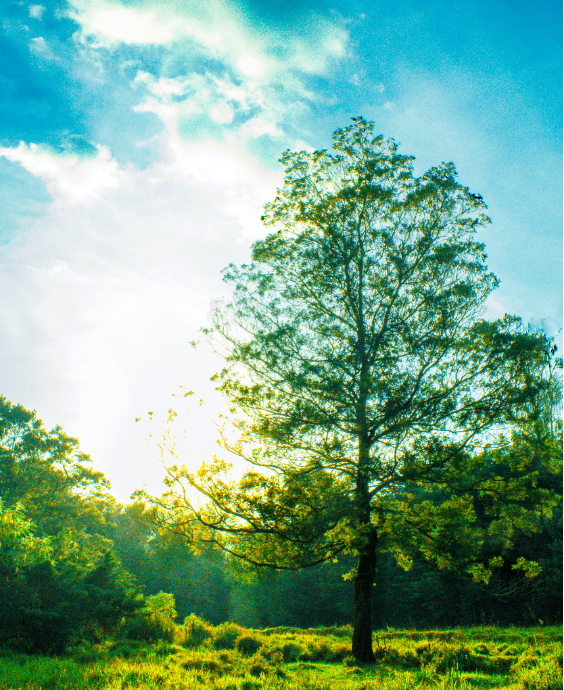 Aged Care | Finances | Seniors | Phillips Wealth Partners | Financial Planning