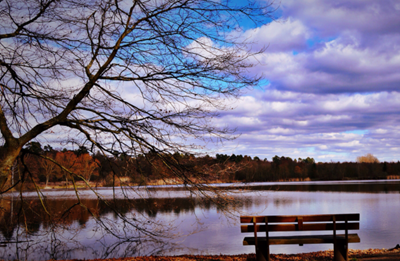 Phillips Wealth Partners, Canberra. Financial Planner.  Retirement living and  Aged Care Advice. Responsible investing