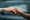 Health and Aged Care: What I Am Seeing on the Ground