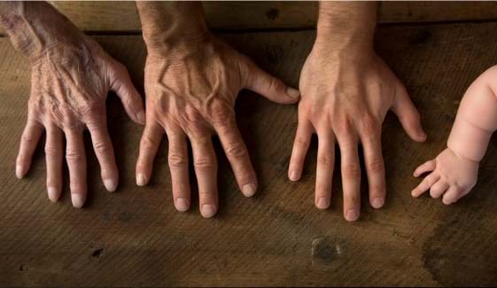 Help for the sandwich generation