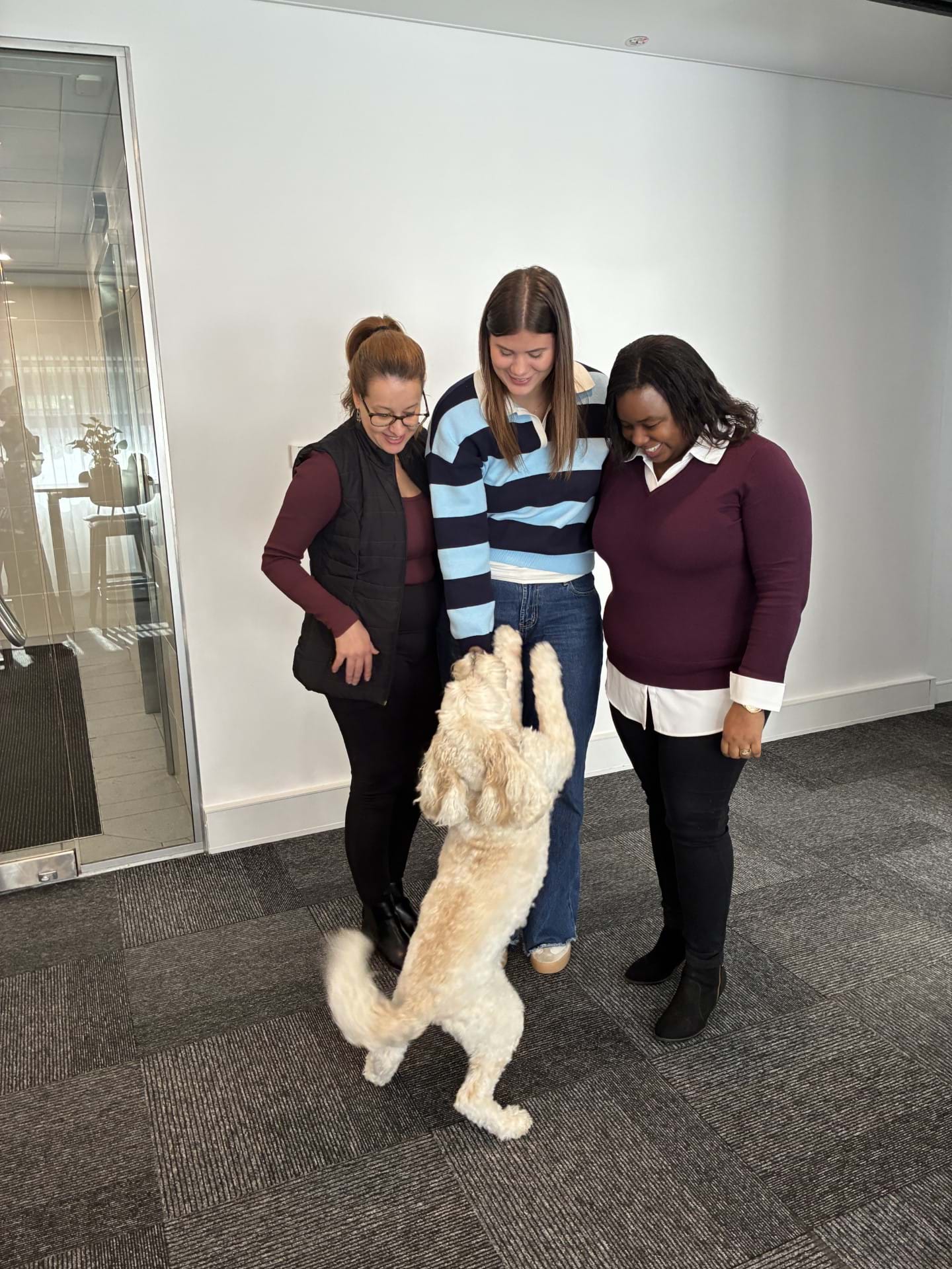 We are sharing two updates as part of our continued growth: a move to a new office and a period of team transition.